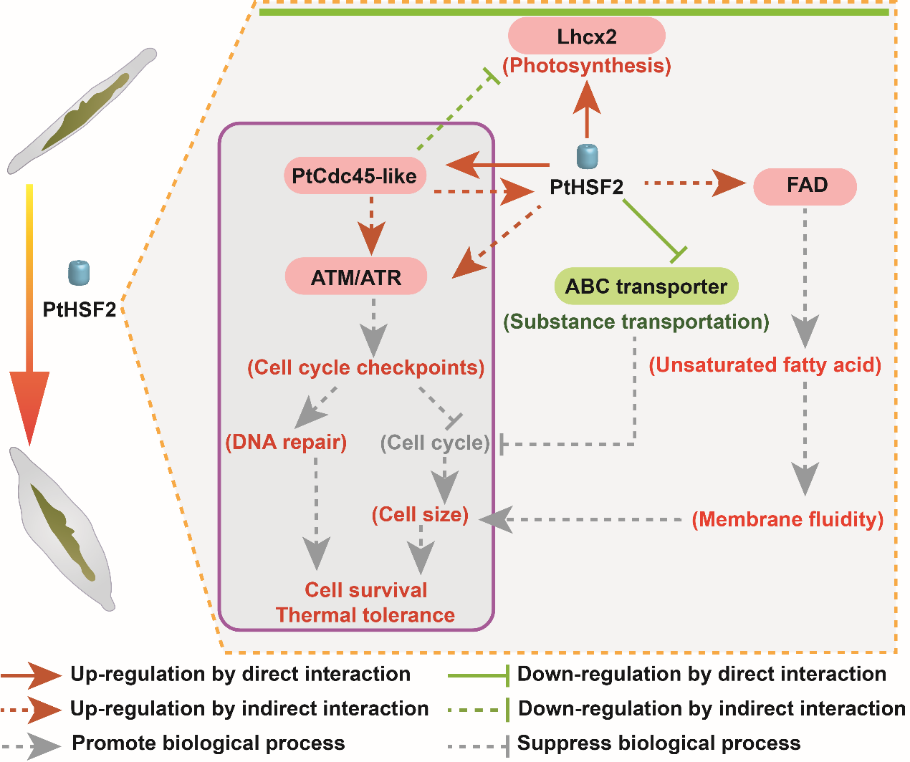 [unsupported image] 文章中包含無法識別的內容，建議將圖表和SmartArt轉為圖片