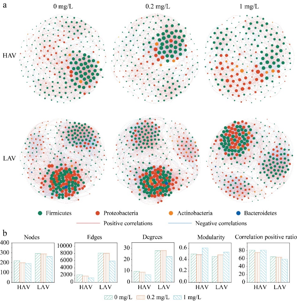 圖2.不同CIP濃度脅迫下兩品種菜心根內(nèi)種源細菌群落的共現(xiàn)網(wǎng)絡(luò)分析 配圖4