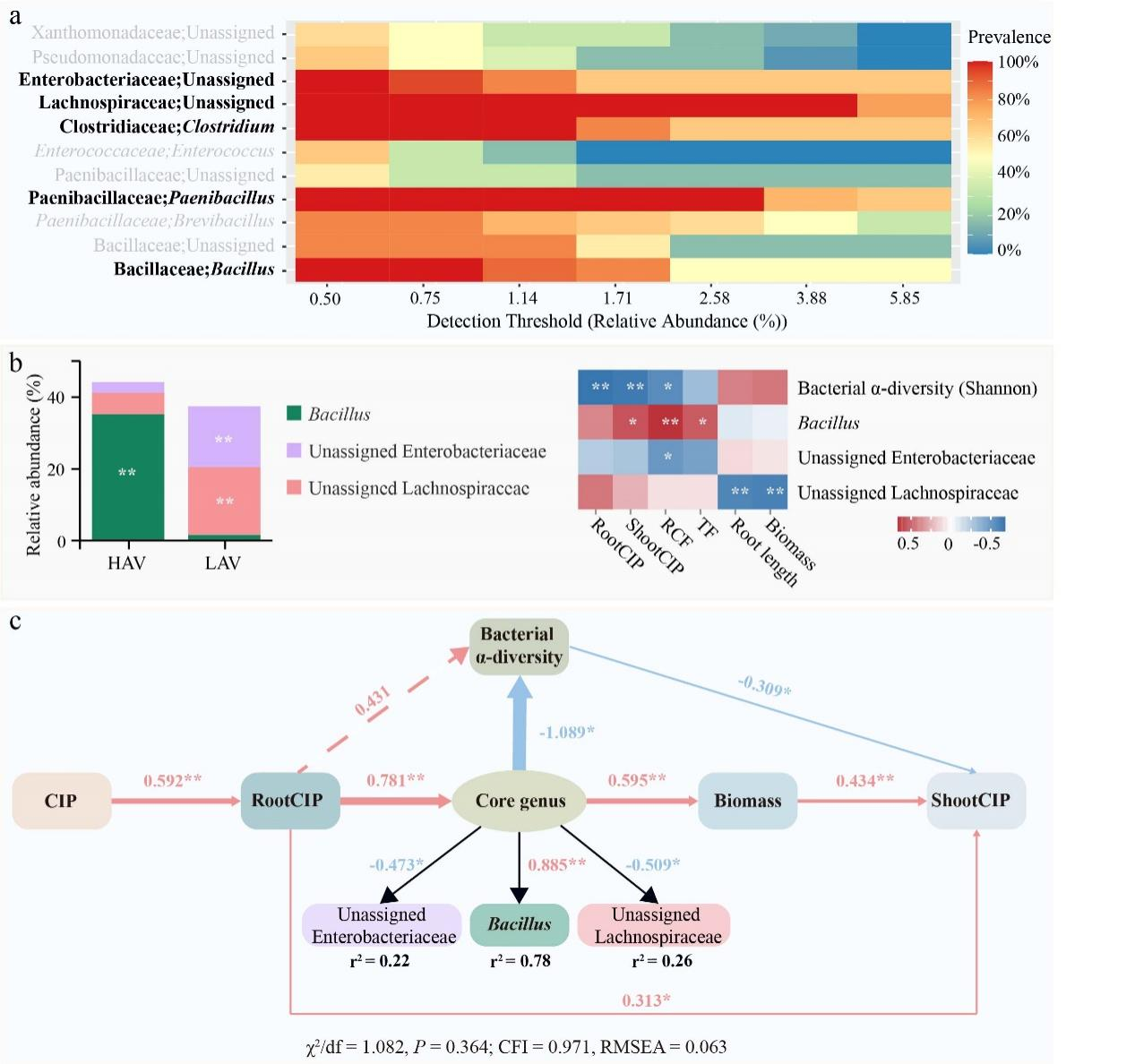 圖3.兩品種菜心根系的核心細菌屬及其與兩品種菜心表型參數(shù)的相關(guān)性和結(jié)構(gòu)方程分析 配圖5